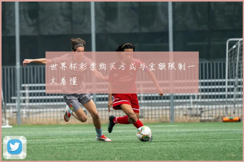 世界杯彩票购买方式与金额限制一文看懂
