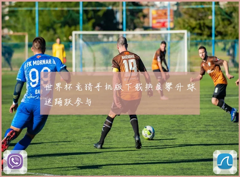 世界杯竞猜手机版下载热度攀升 球迷踊跃参与