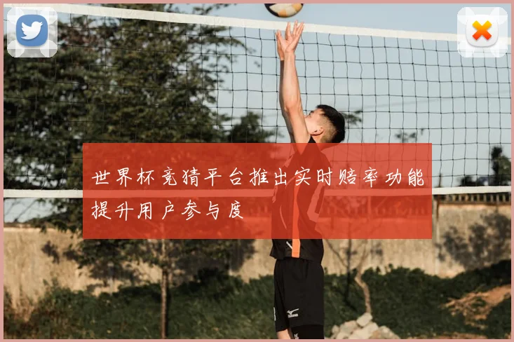 世界杯竞猜平台推出实时赔率功能提升用户参与度