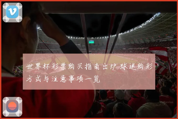 世界杯彩票购买指南出炉 球迷购彩方式与注意事项一览