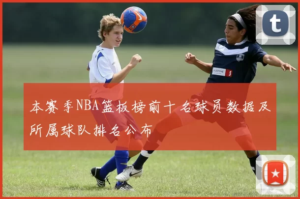 本赛季NBA篮板榜前十名球员数据及所属球队排名公布