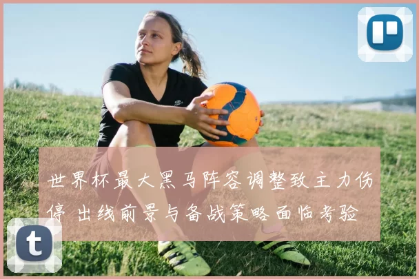 世界杯最大黑马阵容调整致主力伤停 出线前景与备战策略面临考验
