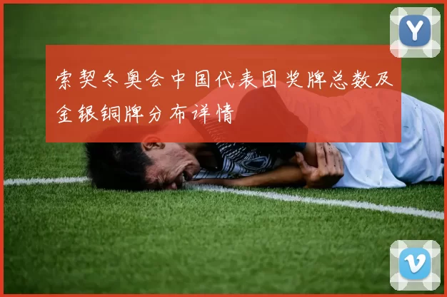 索契冬奥会中国代表团奖牌总数及金银铜牌分布详情