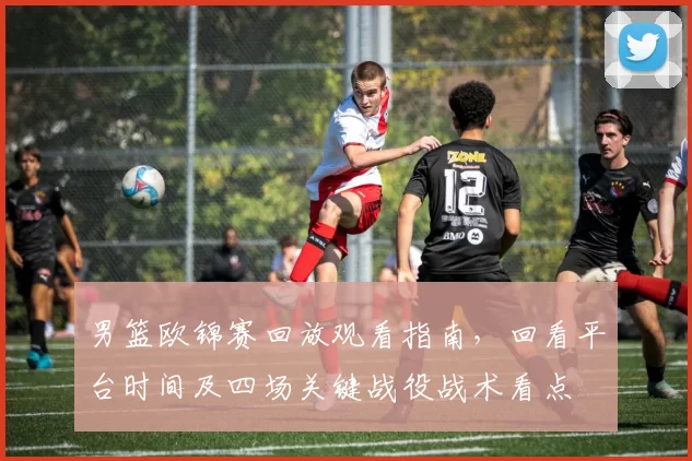 男篮欧锦赛回放观看指南，回看平台时间及四场关键战役战术看点