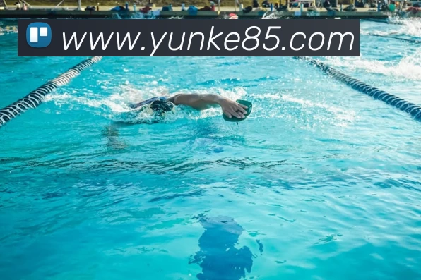 多媒体互动体验